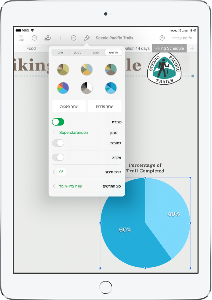 תרשים עוגה המציג אחוזים של מסלולים שהושלמו. התפריט ״עיצוב״ פתוח גם הוא, ומציג סגנונות תרשים שונים לבחירה, כמו גם אפשרויות לעריכת הסדרות או ההפניות לתאים, להפעלה או ביטול של שם התרשים או המקרא, לשינוי זווית הסיבוב של התרשים ולשינוי סוג התרשים.