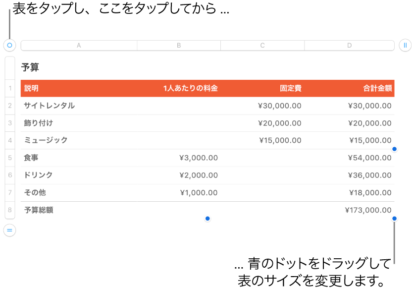 選択された表。サイズを変更するための青いドットが表示された状態。