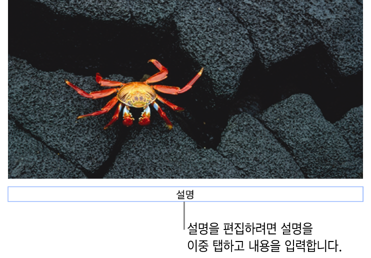 사진 아래에 ‘설명’이라고 나타나는 위치 지정자 설명. 설명 필드 주위의 파란색 윤곽선은 선택되었음을 나타냄.