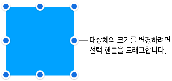 대상체의 크기를 조절하기 위해 테두리에 파란색 점이 있는 대상체.