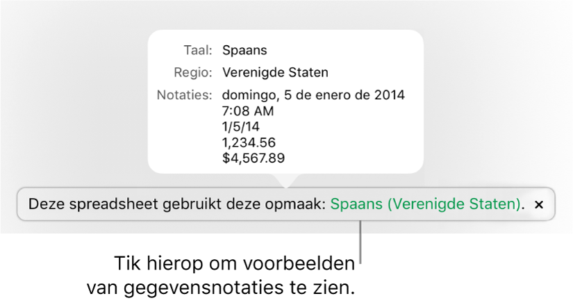 De melding van de afwijkende taal en regio, met voorbeelden van de opmaak in die taal en voor die regio.