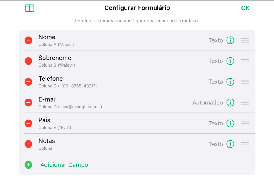 Modo de configuração do formulário, mostrando opções para adicionar, editar, reorganizar, apagar e alterar o formato dos campos (como de Texto para Porcentagem).