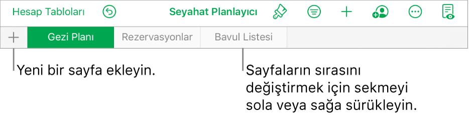 Yeni sayfa ekleme, sayfalar arasında dolaşma, sayfaların sırasını değiştirme ve sayfaları yeniden düzenleme için sekme çubuğu.