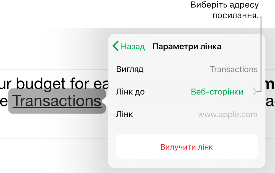 Елементи керування параметрів посилання з полями «Вигляд», «Посилання на» (вибрано значення «веб-сторінка») і «Посилання». Кнопка «Вилучити посилання» розташована внизу.