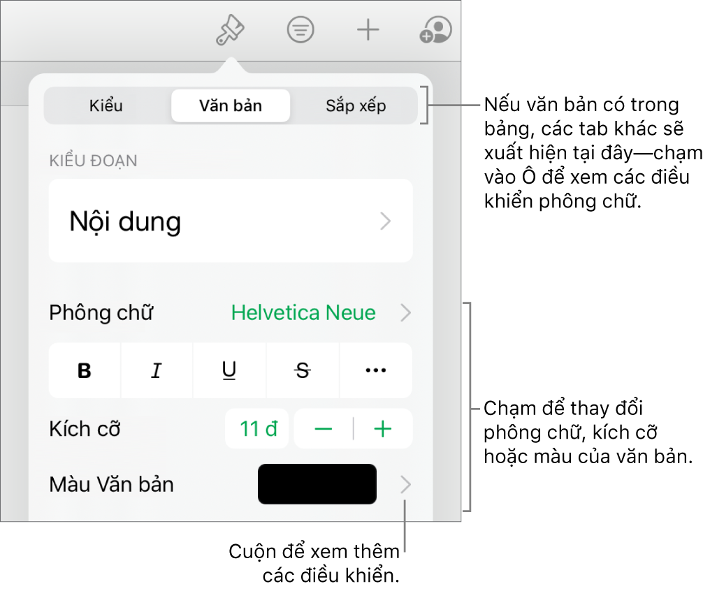 Các điều khiển văn bản trong menu Định dạng để đặt kiểu, phông chữ, kích cỡ và màu của đoạn và ký tự.