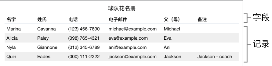 正确设置以用于表单的表格，其中标题行包括字段标签，记录列表显示了运动队成员的联系信息。