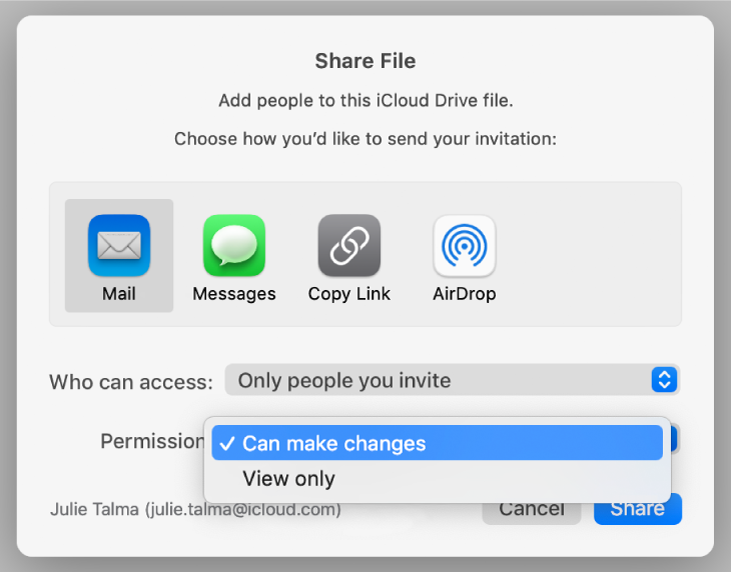 The Share Options section of the collaboration dialog with the Permission pop-up menu open and “Can make changes” selected.