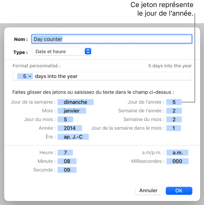 Fenêtre de format de cellule personnalisé présentant les commandes permettant de créer un format de date et d’heure personnalisé.