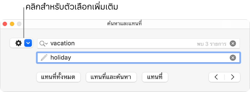 หน้าต่างค้นหาและแทนที่ที่มีคำบรรยายของปุ่มเพื่อแสดงตัวเลือกเพิ่มเติม