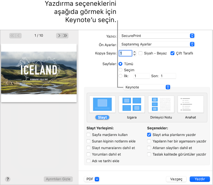 Açılır menüde Pages’ın altında Keynote’un seçili olduğu Yazdır iletişim kutusu. Bunun altında Slayt seçiliyken Slayt, Izgara, Anahat ve Dinleyici seçeneklerine ait yazdırma yerleşimleri vardır. Yerleşimlerin altında marjları gösterme, sunan kişinin notlarını dahil etme, görüntüleri taslak kalitesinde yazdırma ve diğer seçenekler için onay kutuları yer alır.