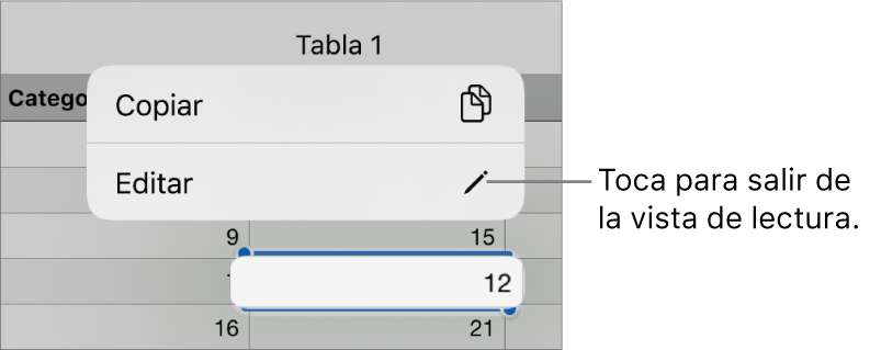 Hay seleccionada una celda de tabla y por encima de ella aparece un menú contextual con botones Copiar y Editar.