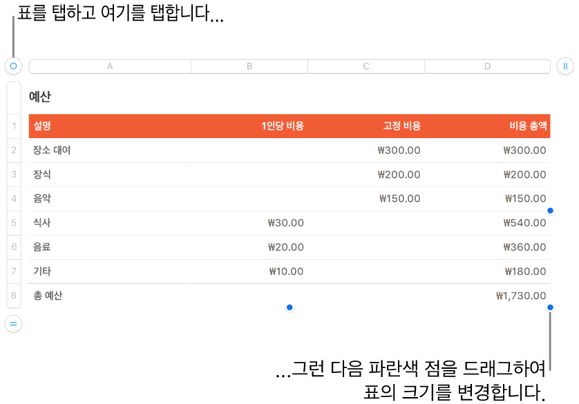 크기 조절용 파란색 점이 있고 선택되어 있는 표.