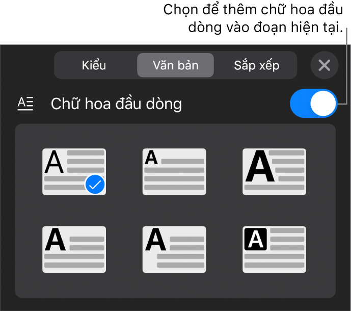 Các điều khiển Chữ hoa đầu dòng nằm ở cuối menu Văn bản.