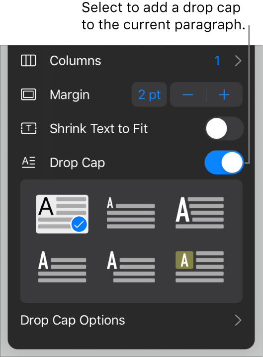 The Drop Cap controls located at the bottom of the Text menu.