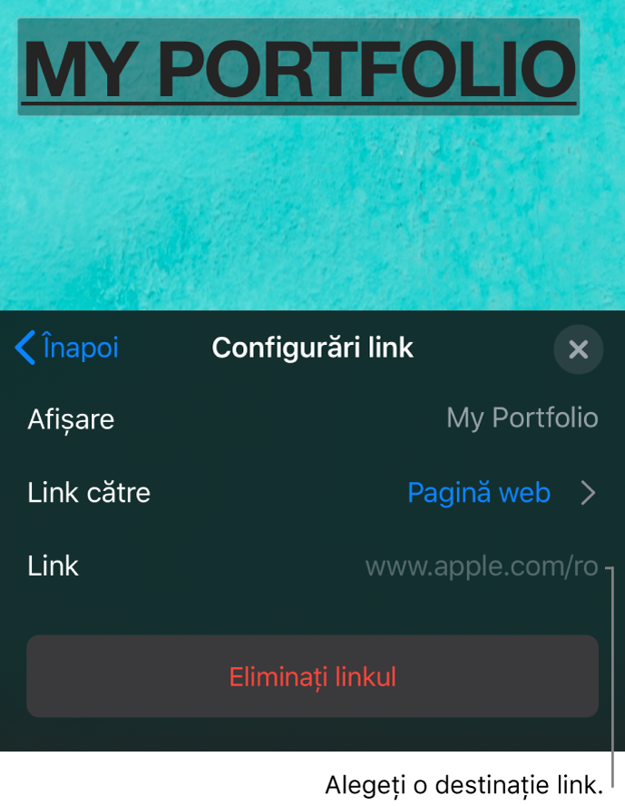 Comenzile din Configurări link cu câmpuri pentru Afișare, Link către (este selectată opțiunea Pagină web) și Link. În partea de jos se află butonul Eliminați linkul.