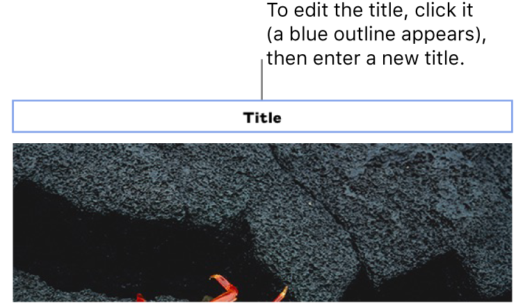 Eksempeltitlen, "Title", vises oven over et foto. Et blåt omrids rundt om titelfeltet viser, at det er valgt.