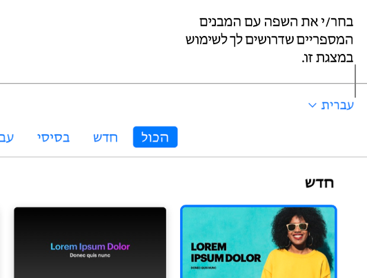 התפריט הקופץ בפינה השמאלית העליונה של בורר ערכות הנושא שבו נבחרה אנגלית (ארה״ב).