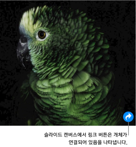오른쪽 하단에 링크 버튼(곡선 화살표 모양)이 있는 슬라이드 캔버스의 이미지입니다.