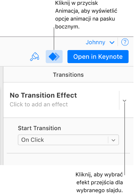 Na pasku narzędzi jest wybrany przycisk Animacja, a w menu podręcznym Przejścia na pasku bocznym jest wyświetlana opcja Brak efektu animacji wejścia.