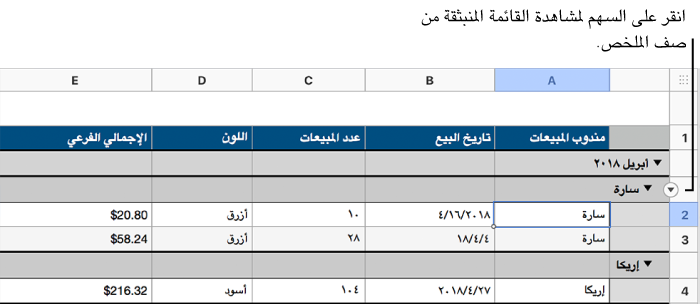 جدول بتسلسل هرمي مكون من مستويين؛ يتم تحديد صف الفئة الأدنى ويظهر سهم لأسفل علي الحد الخاص به.