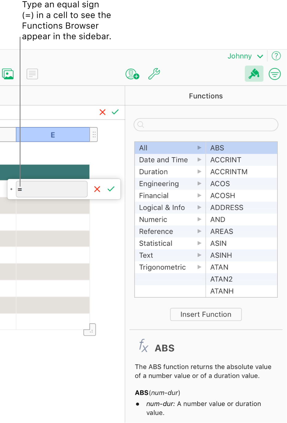 The formula editor appears over a cell with an equal sign in it, and the Functions Browser in the sidebar shows the available functions. A description of the selected function appears below the functions in the sidebar.