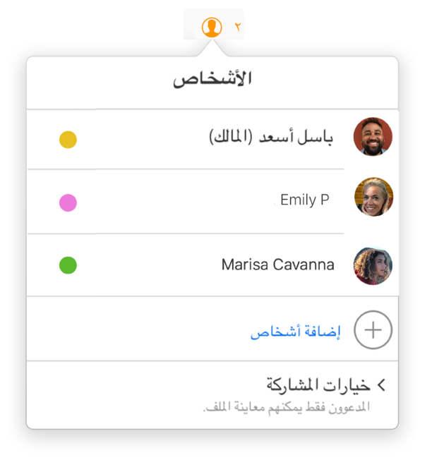 تظهر قائمة "التعاون" أسماء الأشخاص المتعاونين في المستند. توجد خيارات المشاركة أسفل الأسماء.