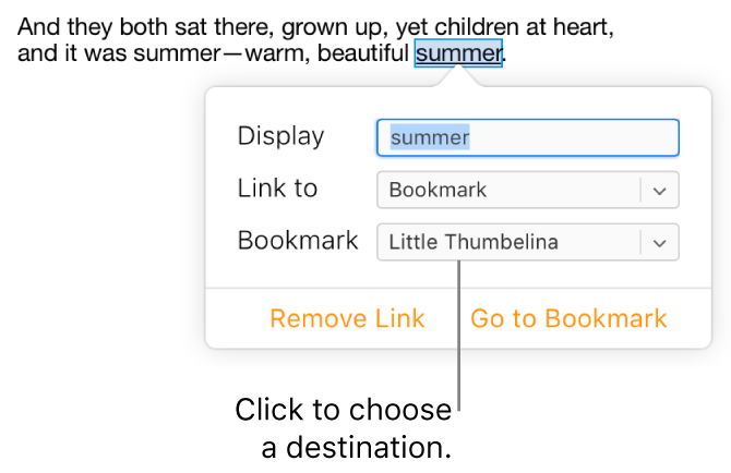 Text in a document is selected and underlined, and the link window shows the text is linked to a bookmark.