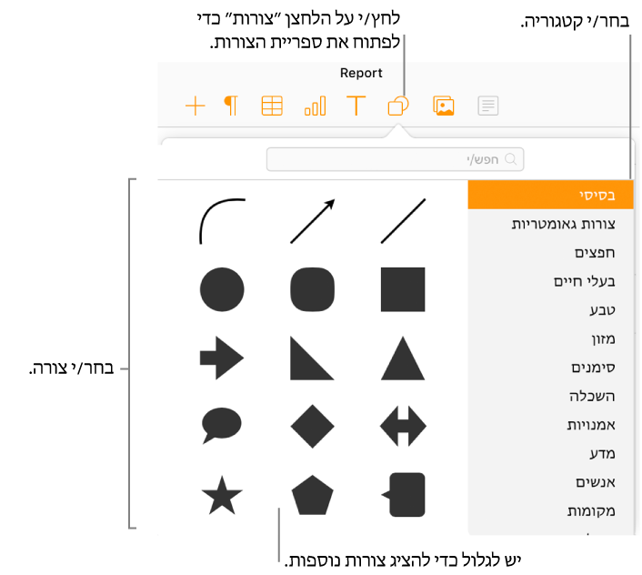 ספריית הצורות נפתחת מתחת לכפתור הצורות שבסרגל הכלים. הקטגוריה ״בסיסי״ מסומנת לבחירה מצד ימין וכמה צורות נפוצות (כולל עיגולים, ריבועים וקווים) מוצגות מצד שמאל.