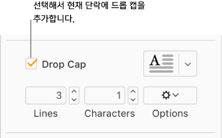 드롭 캡 체크박스가 선택되어 있고 팝업 메뉴가 그 오른쪽에 나타나며, 줄 높이, 문자 수 및 기타 옵션을 설정하는 제어기가 그 아래에 표시됩니다.