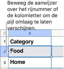 Een rijnummer is geselecteerd in de tabel en de pijl omlaag is zichtbaar rechts ervan.