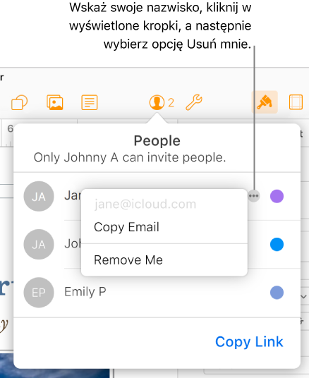 Opcja Usuń mnie na liście użytkowników.
