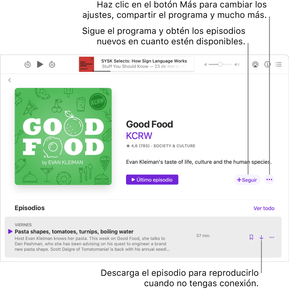La pantalla “Mostrar detalles”. Haz clic en Seguir para obtener nuevos episodios cuando estén disponibles. Haz clic en el botón Más para cambiar los ajustes, compartir el programa y más. Descarga el episodio si deseas escucharlo cuando no dispongas de conexión a internet.