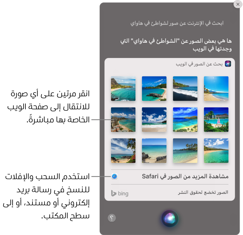 نافذة Siri تعرض نتائج Siri للطلب "البحث في الويب عن صور الشواطئ في هواوي". يمكنك النقر مرتين على صورة لفتح صفحة الويب التي تحتوي على الصورة أو سحب صورة إلى بريد إلكتروني أو مستند أو إلى سطح المكتب.