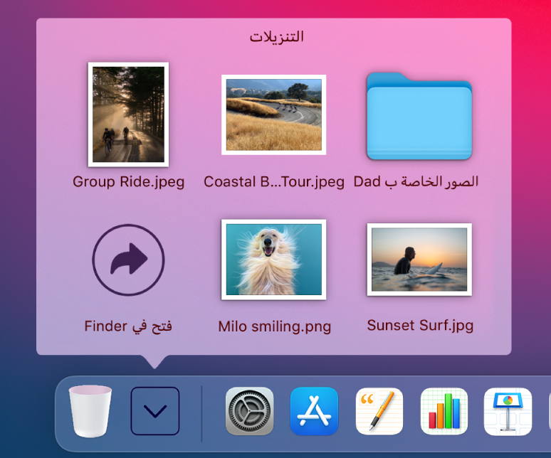 تم فتح مكدس التنزيلات في Dock لإظهار محتوياته في شبكة.