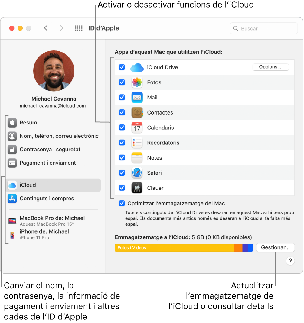 Tauler de preferències iCloud amb totes les funcions seleccionades.