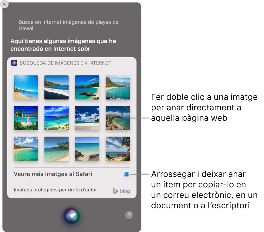 La finestra de Siri amb els resultats de Siri a la petició “Busca imágenes de playas de Hawái en Internet”. Pots fer doble clic en una imatge per obrir la pàgina web que la conté o arrossegar una imatge a un correu electrònic o document o a l‘escriptori.