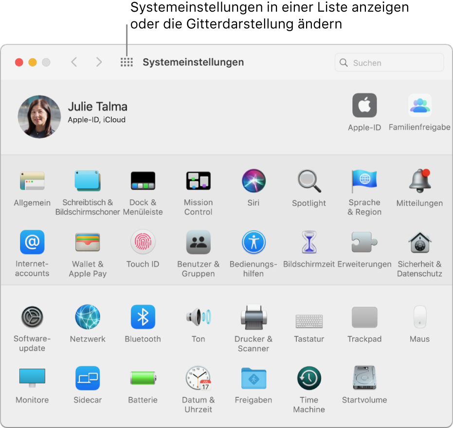 Das Fenster der Systemeinstellungen mit einem Raster der Symbole. Klicke auf die Taste „Alle anzeigen“ in der Symbolleiste des Fensters, um die Systemeinstellungen als Liste anzuzeigen, oder ändere das Erscheinungsbild des Rasters.