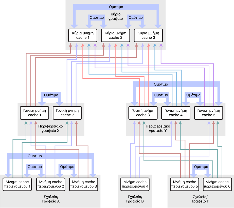 Ένα δίκτυο με πολλαπλές cache περιεχομένου, οργανωμένες σε ιεραρχία τριών επιπέδων που διαθέτει γονική και παλιά γονική cache περιεχομένου. Οι cache περιεχομένου διαθέτουν ομότιμες που ορίζονται σε κάθε επίπεδο της ιεραρχίας.