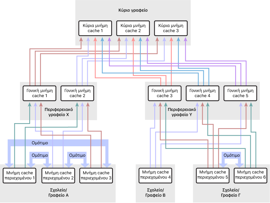 Ένα δίκτυο με πολυάριθμες cache περιεχομένου, οργανωμένες σε ιεραρχία τριών επιπέδων που διαθέτει γονική και παλιά γονική cache περιεχομένου. Μόνο οι cache περιεχομένου στο χαμηλότερο επίπεδο της ιεραρχίας διαθέτουν καθορισμένες ομότιμες.