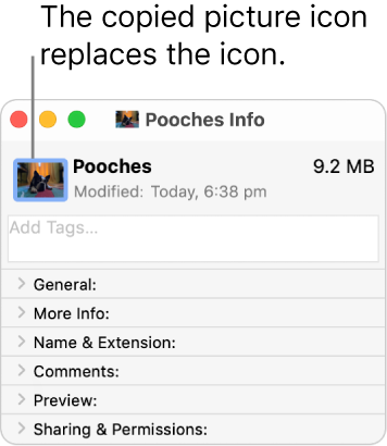The Info window for the other folder showing the generic icon replaced by a picture icon from the original folder.