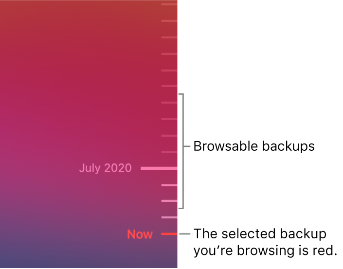 Ticks in the backup timeline. The red tick mark indicates the backup you’re browsing.