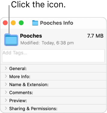 The Info window for the other folder showing the generic icon selected.
