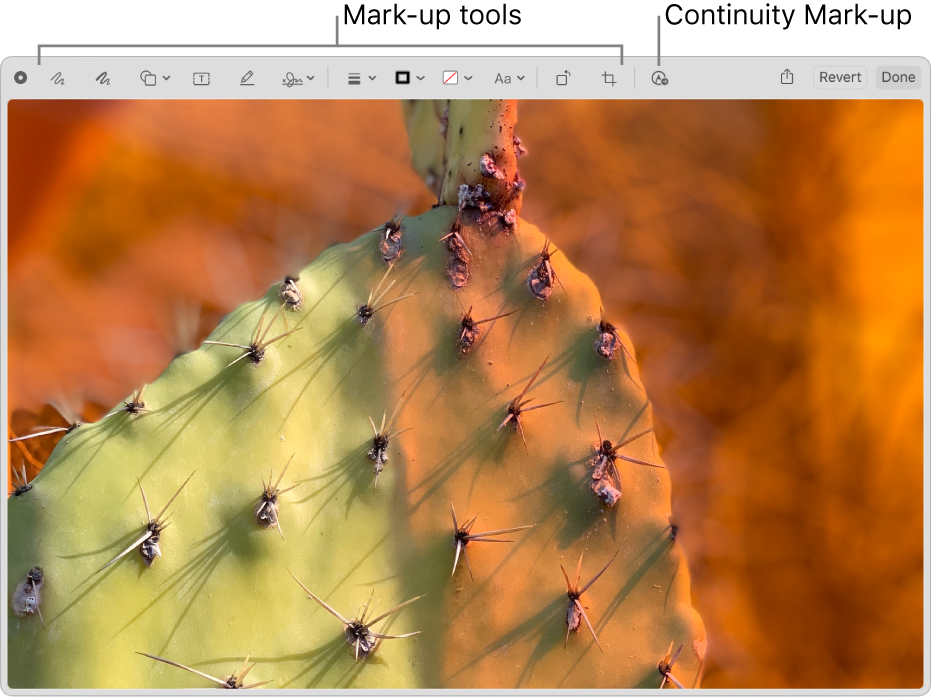 An image in the Markup window showing the toolbar of Markup tools and the tool to click to use Continuity Markup on a nearby iPhone or iPad.