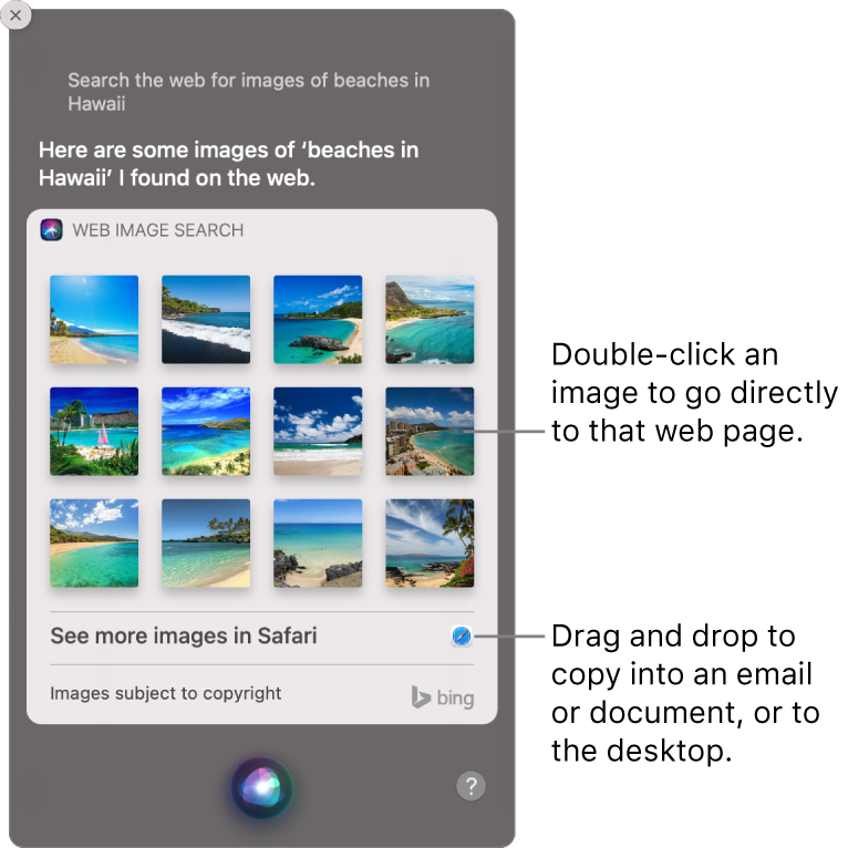 The Siri window showing Siri results to the request “Search the web for images of beaches in Hawaii.” You can double-click an image to open the web page that contains the image or drag an image into an email or document or to the desktop.