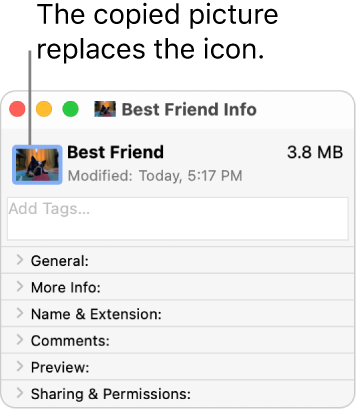 The Info window for a folder, showing the generic icon replaced by a picture.