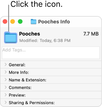 The Info window for the other folder, showing the generic icon selected.