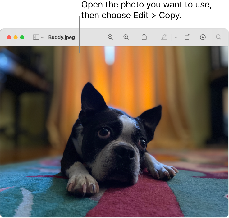 change the folder for photo app on mac