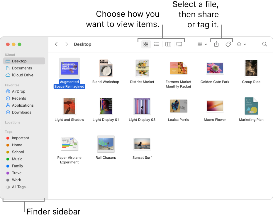 photo album organizer for mac