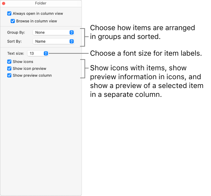 reset my view options for mac