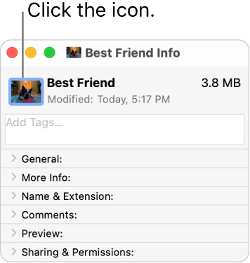 The Info window for a folder, showing a picture on the icon.